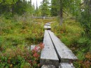 9-1 Lapland nature * 2272 x 1704 * (3.18MB)